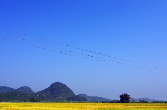 蓝天风景壁纸