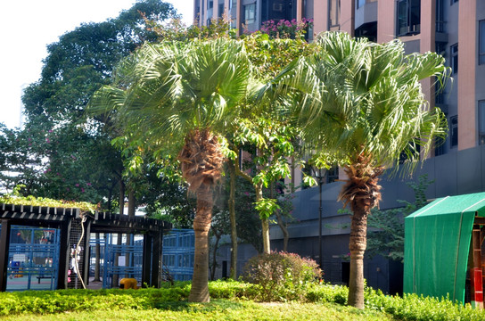 香港街景