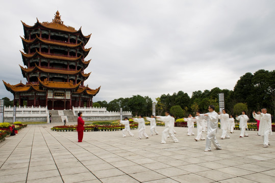 老人与太极拳