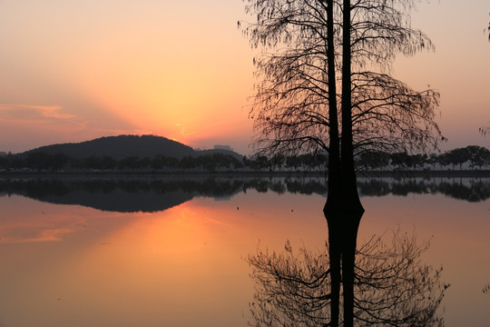 梅园风景