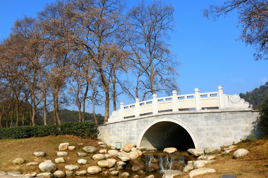 磨山风景