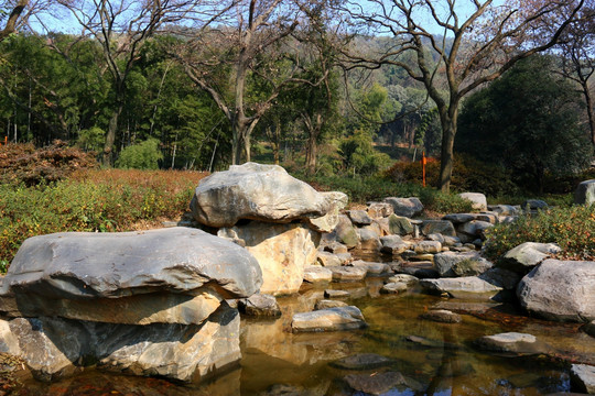 磨山风景