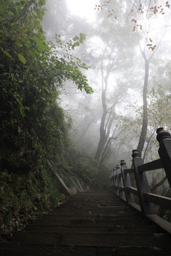 塔云山