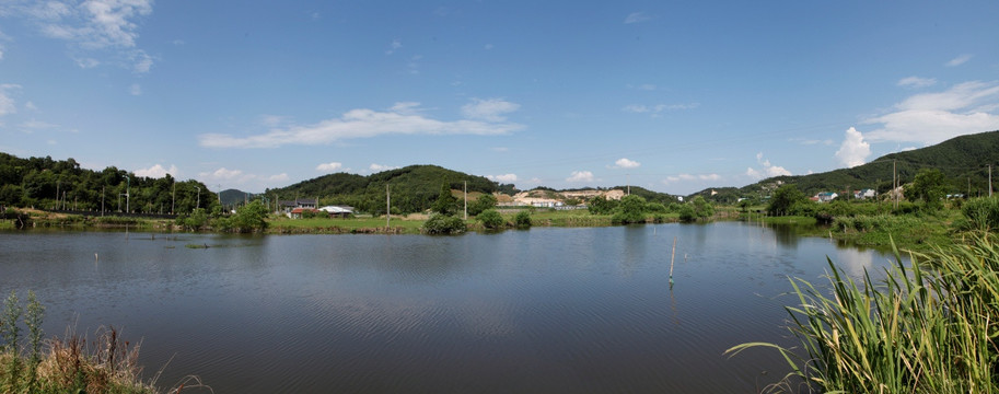 江南乡村风光 水塘