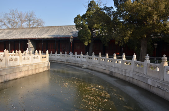 結冰的水面