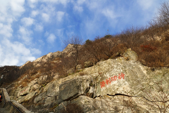 泰山风光