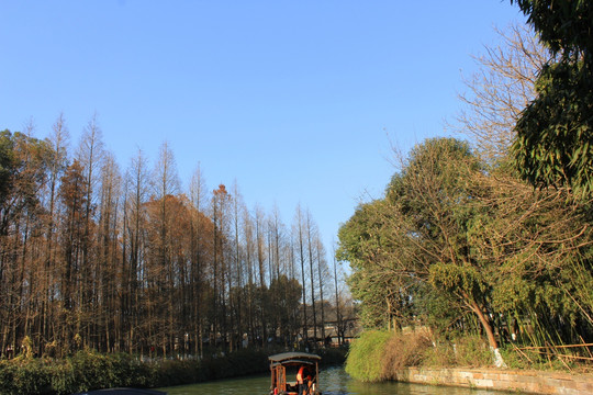 乌镇风景