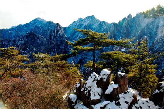 冬景 黄山风光 黄山