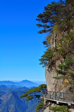 栈道