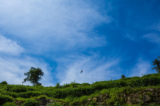 安顶山的天空 浙江 杭州 富阳