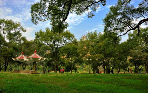 晴天里的公园风景