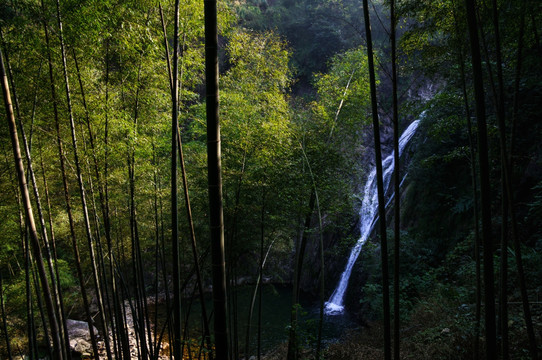 瀑布 竹林 峡谷