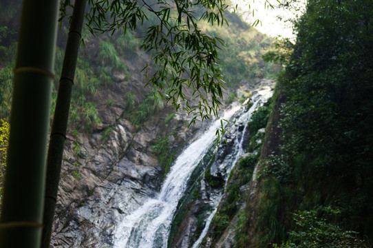 瀑布 竹林 峡谷
