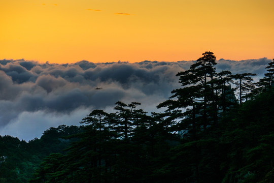 黄山 云海 日出