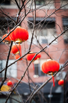 节日气氛场景