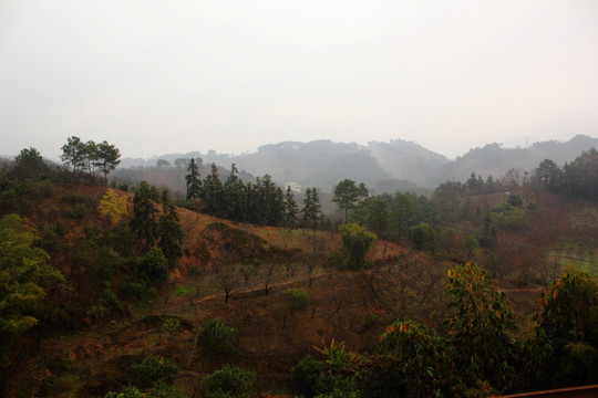 平乐大发山区