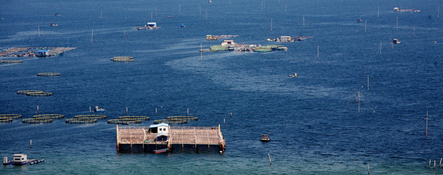 美丽港湾