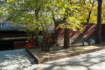 大觉寺建筑园林景观