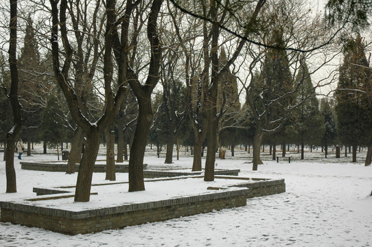 天坛园林雪景