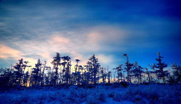 雪林夕照