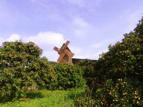 风景