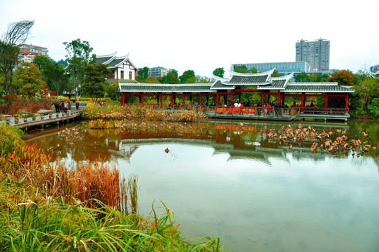 龙岩石锣鼓湿地景观