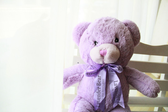 紫色薰衣草小熊长椅摄影