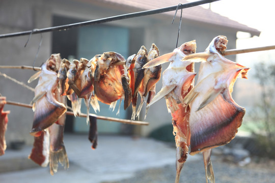 鱼 小吃 腊货 春节食物