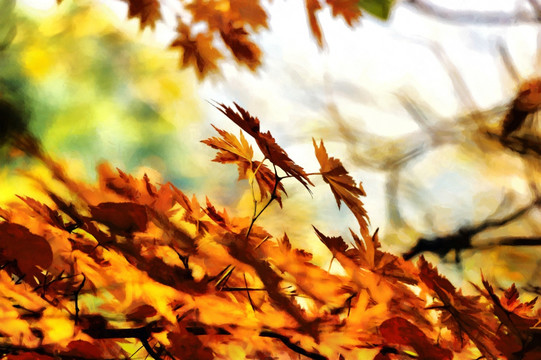 秋天的枫叶落叶风景装饰画