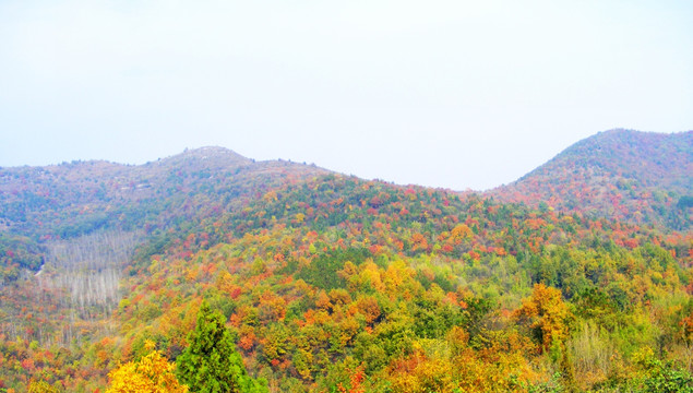 秋山