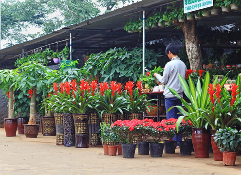 花店