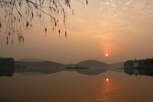 梅园风景