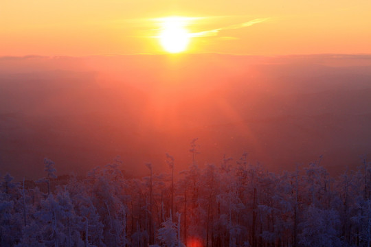 夕照雪林