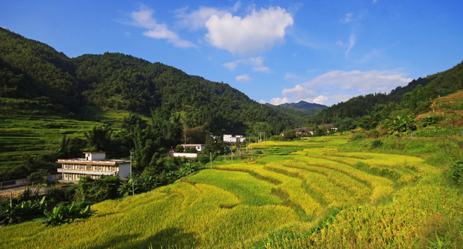 梯田