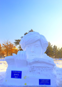 国际大学生雪雕大赛