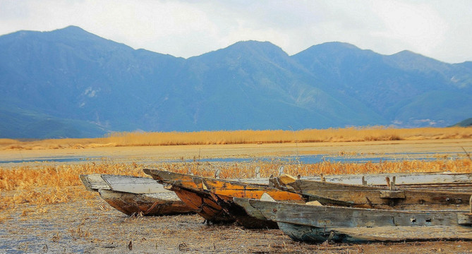 云南 草海 湿地