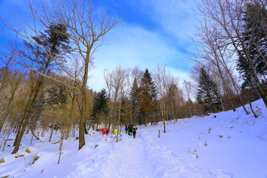 冰雪旅游