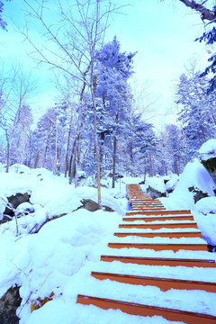 冰雪旅游