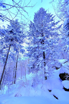 冰雪旅游