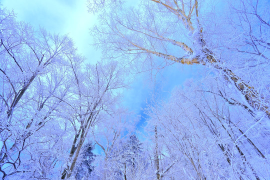 冰雪旅游