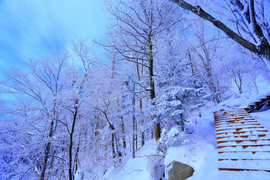 冰雪旅游