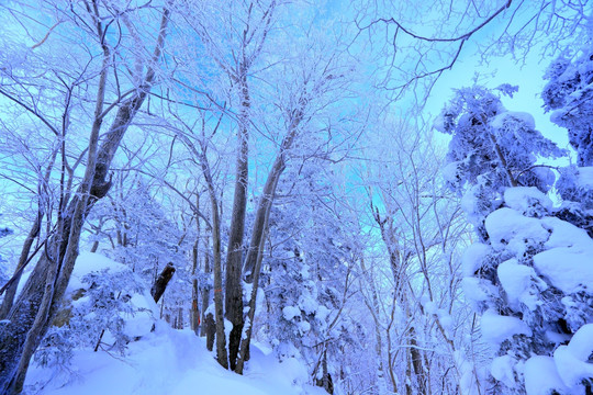 冰雪旅游