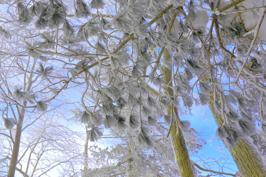 冰雪旅游