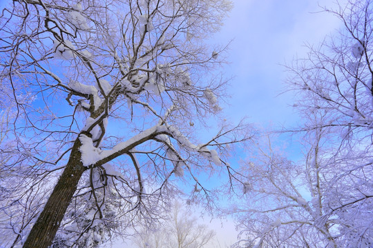 冰雪旅游