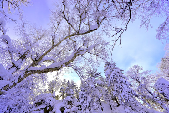 冰雪旅游