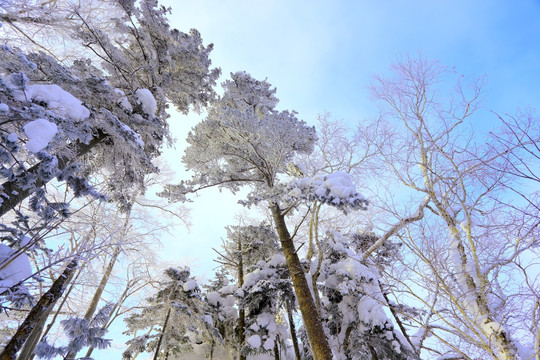 冰雪旅游