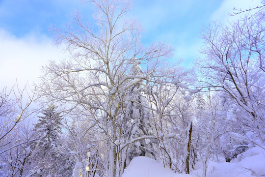 冰雪旅游