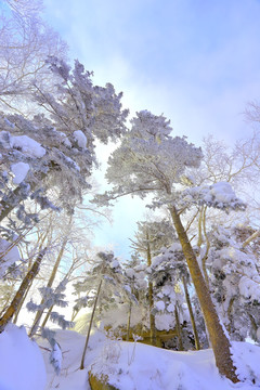 冰雪旅游