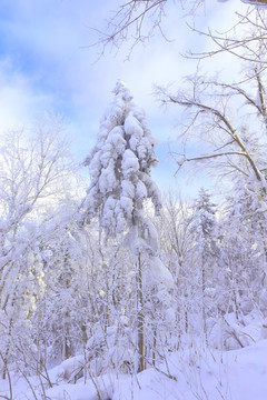 冰雪旅游