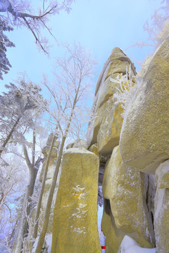 冰雪旅游